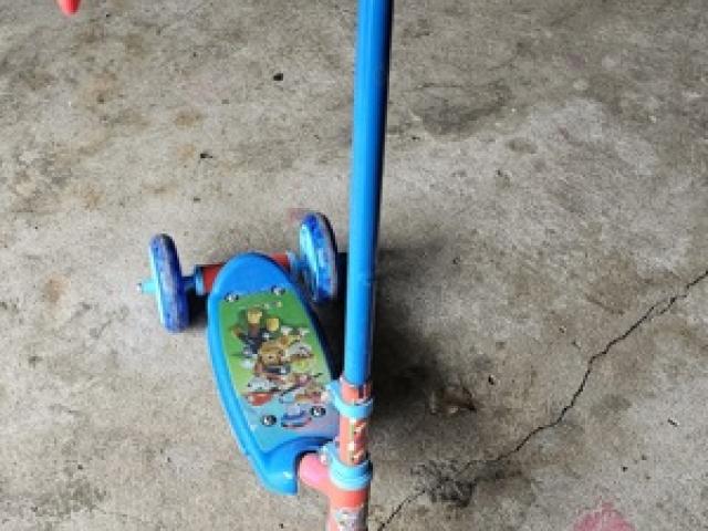 paw patrol roller - 1